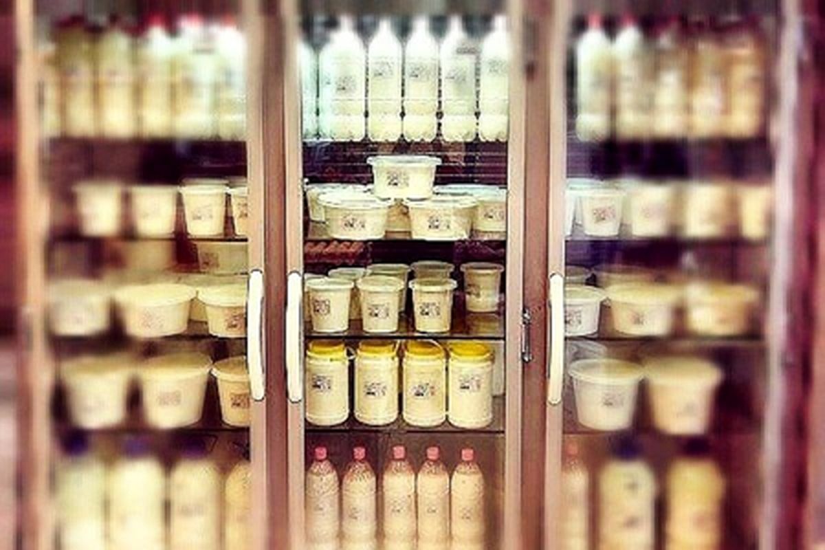 مردم قدرت خرید لبنیات با قیمت کنترلشده را هم ندارند/ افزایش صادرات شیرخام به دلیل کاهش خرید داخلی