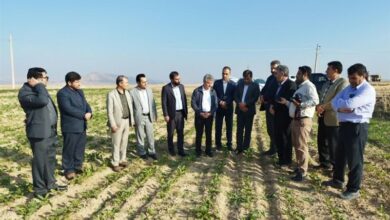 مطالبات کشاورزان بهزودی پرداخت میشود