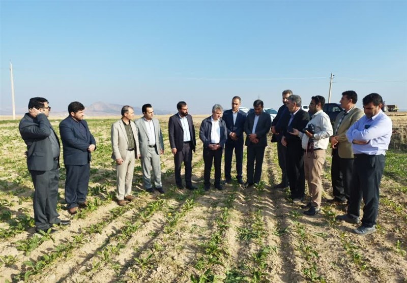 مطالبات کشاورزان بهزودی پرداخت میشود