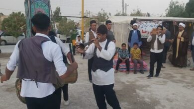 معاون وزیر کشاورزی: مهمترین چالش بخش کشاورزی دانش بنیان نبودن است