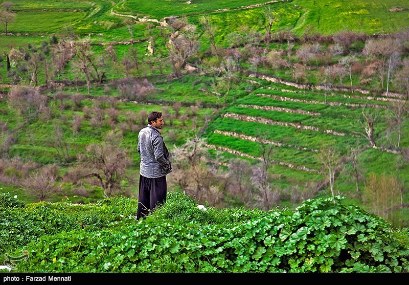 نام شهر «ریجاب» در استان کرمانشاه تغییر کرد