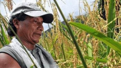 نسخه آمریکایی از صنعت دام و طیور ایران حذف میشود