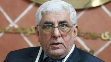 هانیزاده: کشورهای منطقه باید بستن راه صدور نفت و ارزاق به رژیم صهیونیستی را در دستور کار قرار دهند