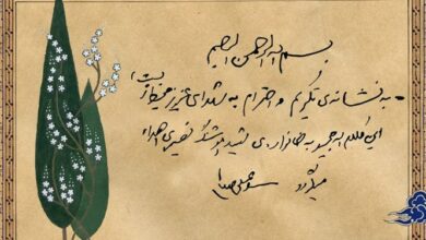 هدیهای از طرف رهبر انقلاب به نشانه تکریم و احترام به شهدای محیط زیست