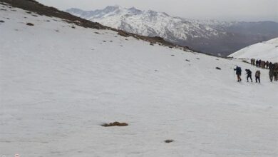 هشدار زرد هواشناسی برای تهرانیها/ فردا کوه نروید