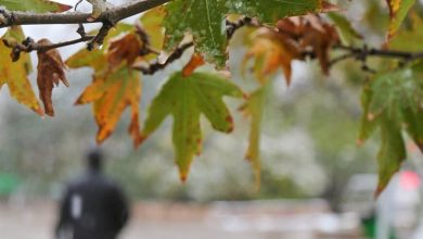 هواشناسی ایران ۱۴۰۲/۰۸/۱۰؛ هشدار ادامه فعالیت سامانه بارشی/باران و برف کشور را فرا میگیرد