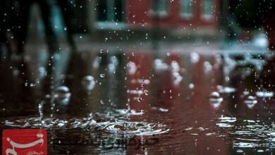 هواشناسی ایران ۱۴۰۲/۰۸/۱۹؛ هشدار هواشناسی برای استانهای ساحلی خزر/افزایش آلودگی هوا در شهرهای صنعتی