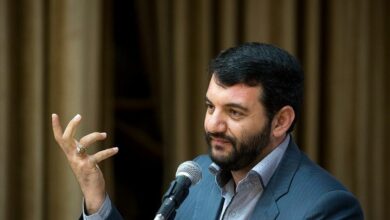 هیچگاه از مخالفان مناطق آزاد نبودم/ برای جذب سرمایهگذاران خارجی «دانپاشی» میکنیم