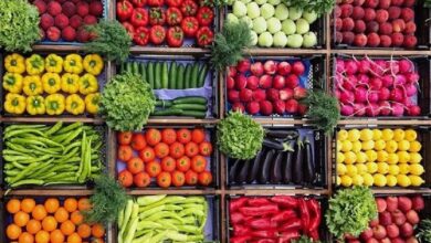 وزارت کشاورزی موظف به ارزیابی میزان باقیمانده سموم در محصولات کشاورزی شد