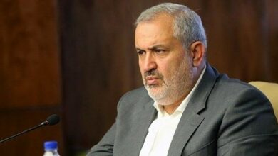 وزیر صمت: تلاش ما در نمایشگاه بینالمللی واردات چین معرفی پتانسیلهای کشور بود