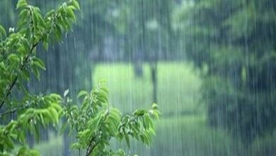 پیشبینی سیلاب و طغیان رودخانهها در کرمان