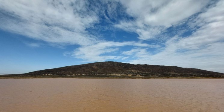 کام تشنه گاوخونی تر میشود