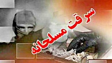 کشف ۱۰۰ درصد سرقتهای مسلحانه در کرمانشاه/ بانک اطلاعاتی مالخران ایجاد شد