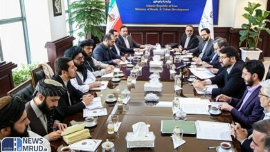 گسترش همکاریهای ایران و افغانستان در حوزه حمل و نقل