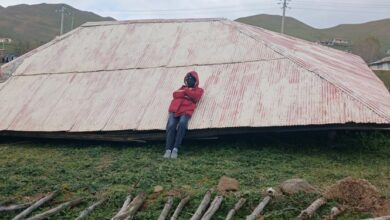 یک بامودوهوای قانونمداری در تخریب خانههای ییلاقی تالش!