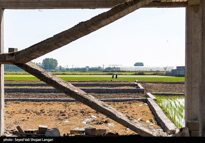 ۱۰ هکتار از مستحدثات غیرمجاز کلاردشت قلع و قمع شد