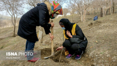 ۱۱ آذر ماه، آغاز طرح کاشت یک میلیارد درخت/ فرصتهای خوبی داریم