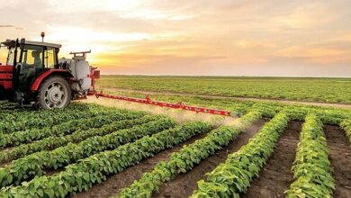 ۳ میلیون هکتار زمین کشاورزی با کمک بسیج به بهره برداری میرسد