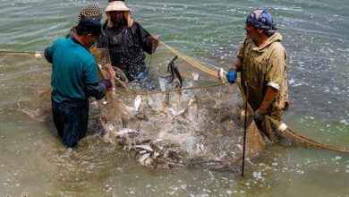 ۴ مجتمع شیلاتی بزرگ در لرستان احداث میشود