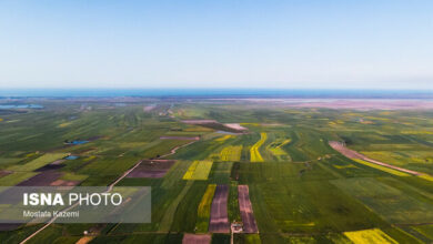 ۸۴.۴ میلیون هکتار اراضی مرتعی داریم/ تدوین طرح مردمیسازی مدیریت مراتع