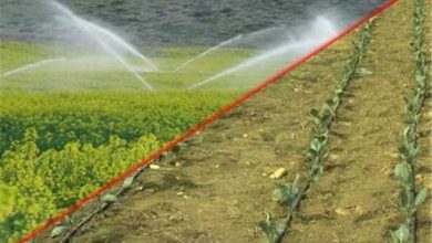 ۹۰ درصد اراضی استان همدان به سیستمهای آبیاری نوین مجهز شد