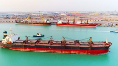 20 قلم کالای عمده که امسال وارد کشور شد چه بود