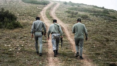 3 محیطبان چهارمحال و بختیاری در درگیری با شکارچیان غیرمجاز زخمی شدند