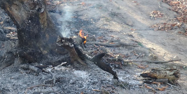 آتش بازهم به جان جنگلهای آغوزبن رودبار افتاد +عکس