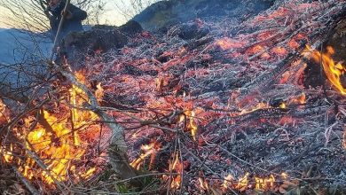 آتشسوزی جنگلی در 17 نقطه از استان گیلان/ 22.8 هکتار از اراضی در آتش سوخت