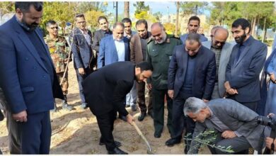 آغاز پویش «صبح زیتون» و طرح مردمی کاشت درخت در خراسانجنوبی