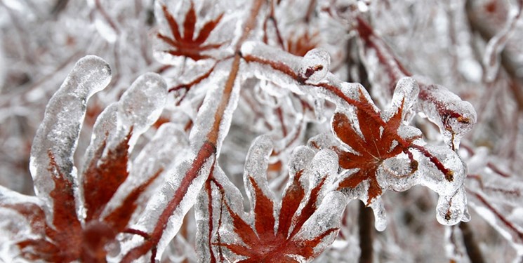 ادامه بارشها و حاکم شدن سرما و بخبندان در زنجان