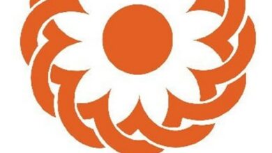 ارائه خدمات پزشکی به ۱.۵ میلیون نفر از معلولان کشور