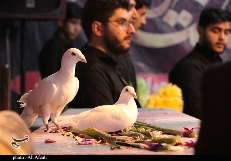 شهدای گمنام , استان کرمان , شهید ,