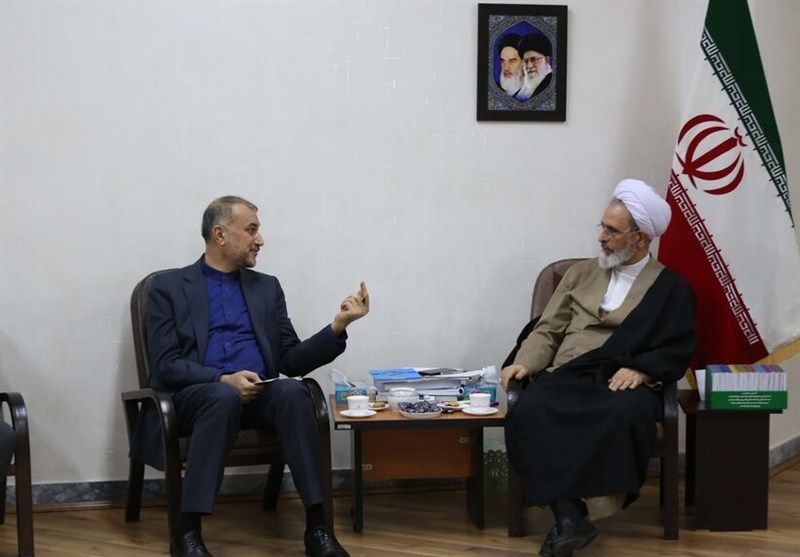 امیرعبداللهیان: تمام ایرانیان خارج از کشور تأکید وافری بر صیانت از ارتباط هویتی خود با ایران دارند