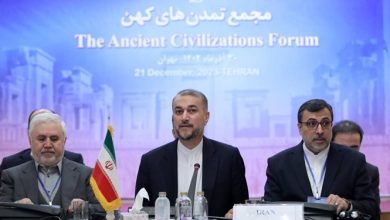 امیرعبداللهیان: کشورهای دارای تمدن کهن از ظرفیتهای خود برای توقف جنایات صهیونیستها استفاده کنند