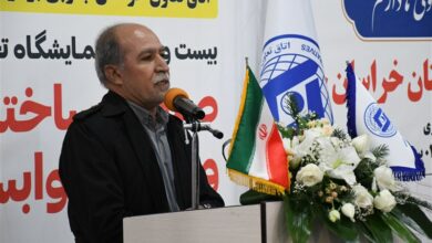 انبوهسازان بومی ساخت نهضت ملی مسکن خراسان جنوبی را برعهده دارند