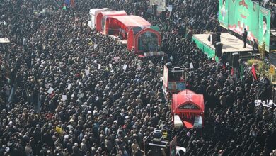 بدرقه کبوتران بینشان در شهر شهیدان