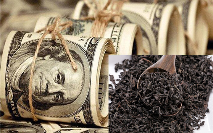 بهمن ۱۴۰۱ «دبش» درخواست اتحادیه برای ابهامزدایی را رد کرده بود