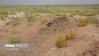 تخفیف ۵۰ درصدی شرکت آزمایشگاه فنی خاک به دانشبنیان ها