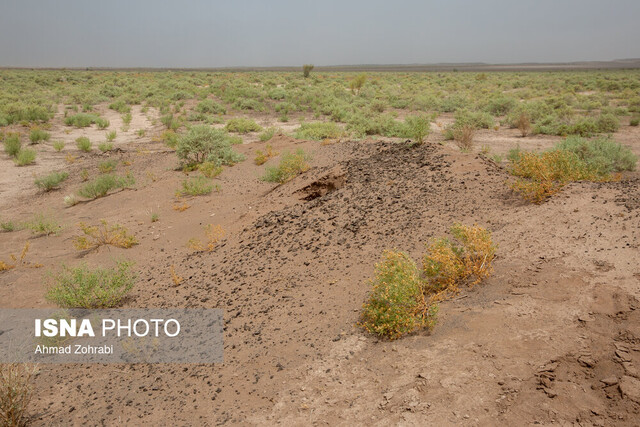 تخفیف ۵۰ درصدی شرکت آزمایشگاه فنی خاک به دانشبنیان ها