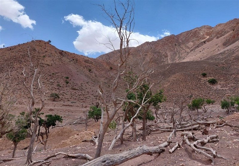 تداوم کم بارشی در کشور تا دو هفته آینده/ کاهش ۳۰ درصدی بارشها در تهران و البرز