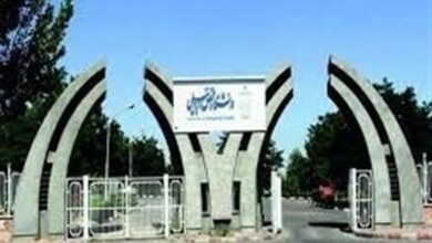 تفاهمنامه همکاری بین سازمان ملی بهرهوری با دانشگاه محقق اردبیلی امضا شد