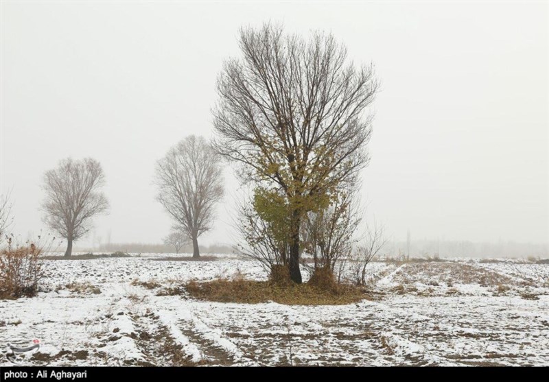 تقویت سامانه بارشی در مناطقی از لرستان با بارش برف در ارتفاعات