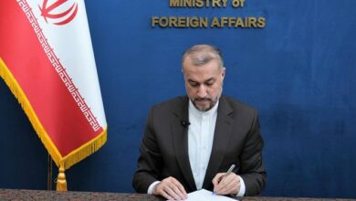 تمجید امیرعبداللهیان از تلاشهای دبیرکل دی هشت در حمایت از حقوق ملت فلسطین