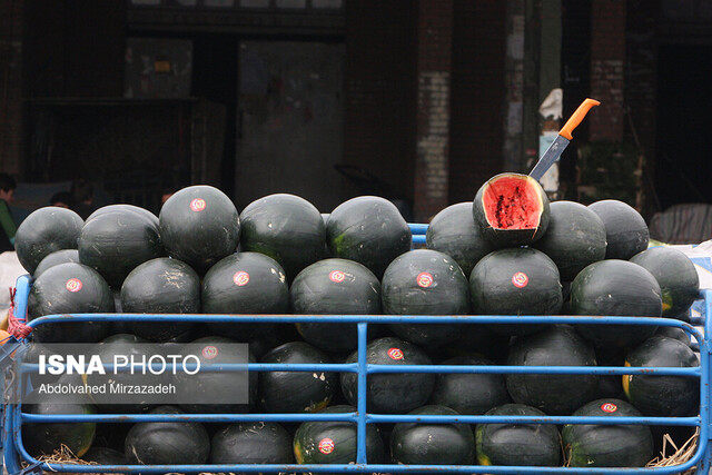 توزیع چند هزار تن میوه شب یلدا در میدان مرکزی از امروز/ عرضه تا پنجشنبه ادامه دارد