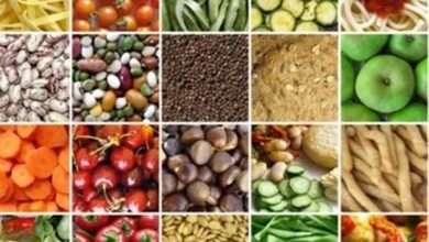 توسعه پایدار بدون حفظ ارزش خاک و منابع به دست نمیآید