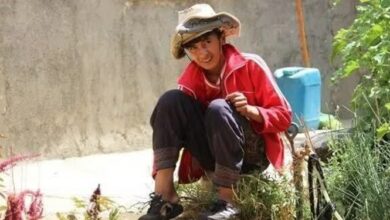 جایزه بهترین فیلم جشنواره سیبریاداک روسیه به فیلمساز چهارمحال و بختیاری رسید