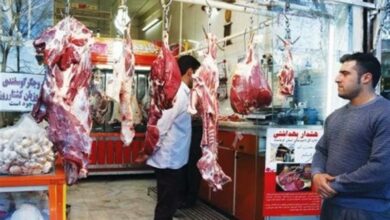 جهاد کشاورزی کهگیلویه و بویراحمد ناتوان در مدیریت بازار/ قصابها راه خود را میروند