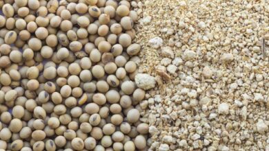 خبرهای خوب از سهولت در بارگیری و تحویل نهادهها