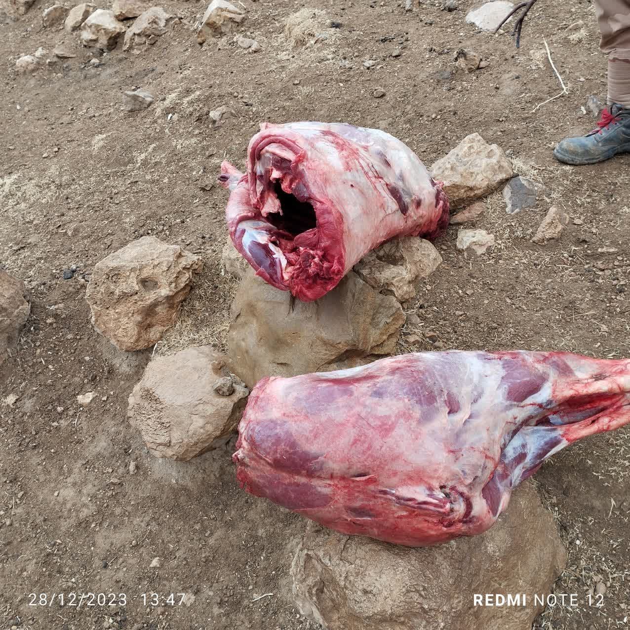 پایش و نظارت در محیط زیست ,